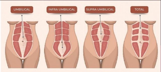 Texto explicativo ilustrado